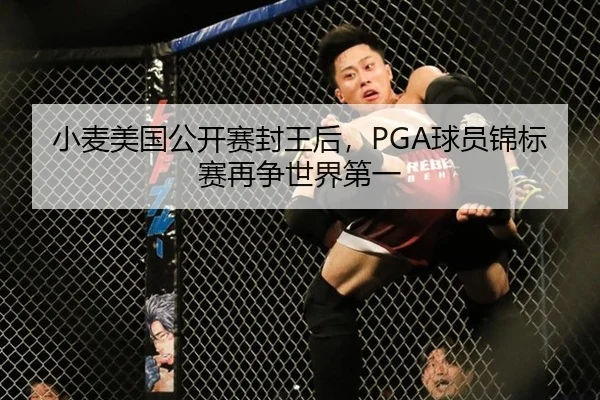 小麦美国公开赛封王后，PGA球员锦标赛再争世界第一